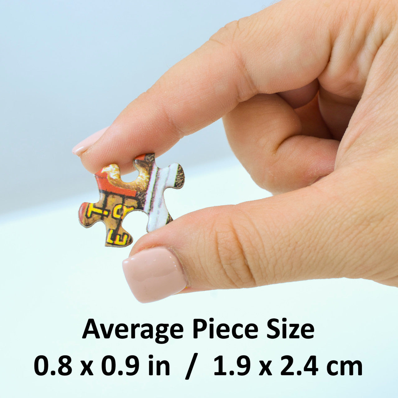 LA Rams 1000 Panoramic Team Puzzle