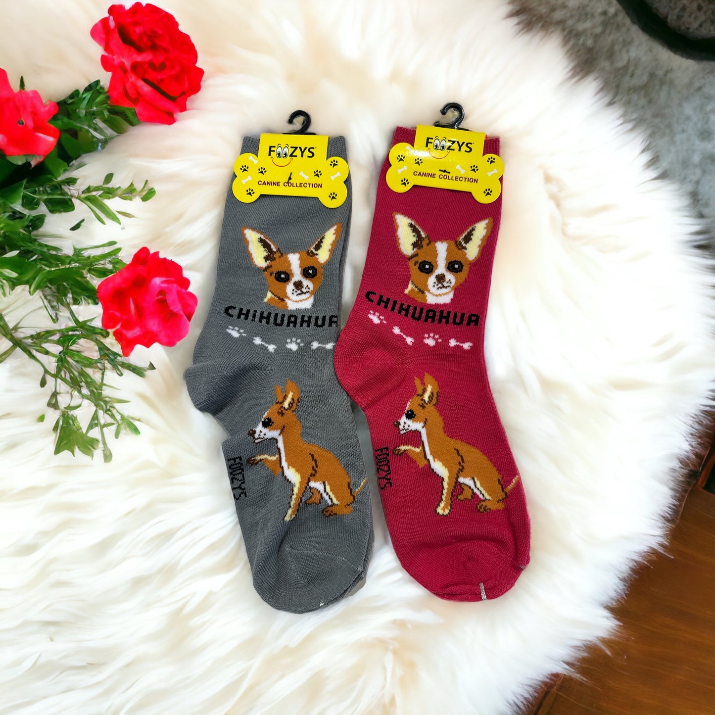 CHIHUAHUA - Novelty Themed Scoks
