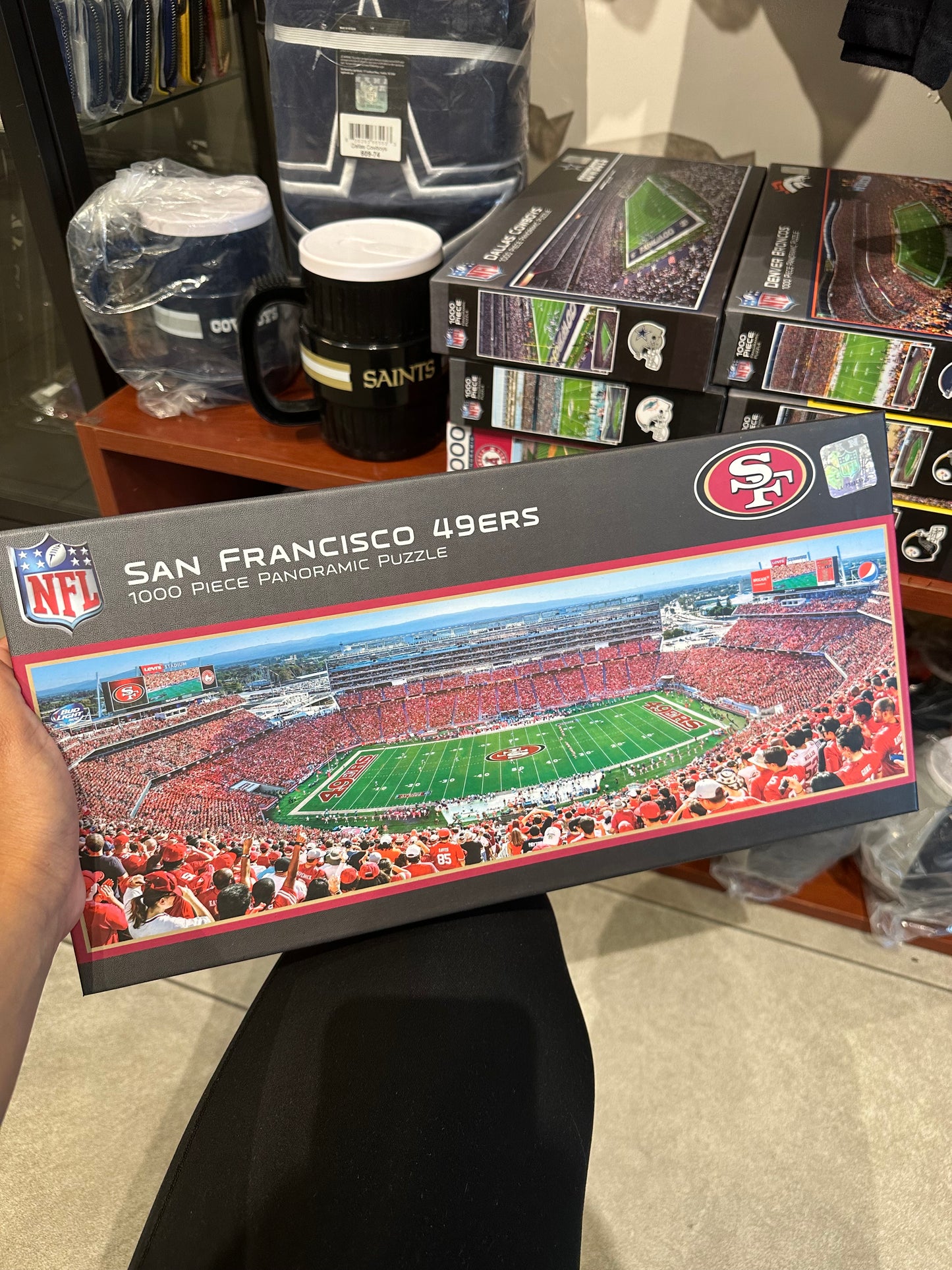 49ers 1000 Panoramic Team Puzzle